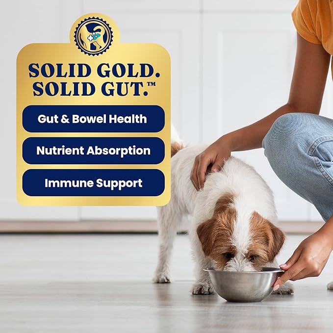 Solid Gold High Protein Wet Dog Food for Large Dogs & Small Dogs - Soft Grain Free Canned Dog Food w/Real Beef, Prebiotics & Superfoods for Gut Health & Immune Support - All Ages - 6ct 13.2oz Cans