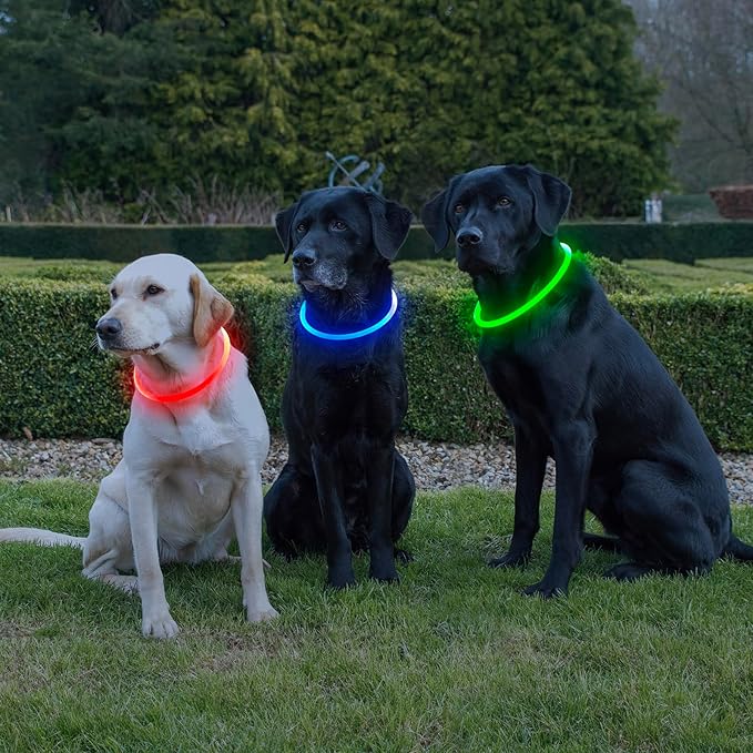 HIGO Light Up Dog Collar, RGB Rechargeable LED Dog Collar, TPU Dog Collar Light for Night Walking, Cuttable Size, Be Seen at Night for Small Medium Large Dogs, Dog Camping Essentials (RGB-TPU)