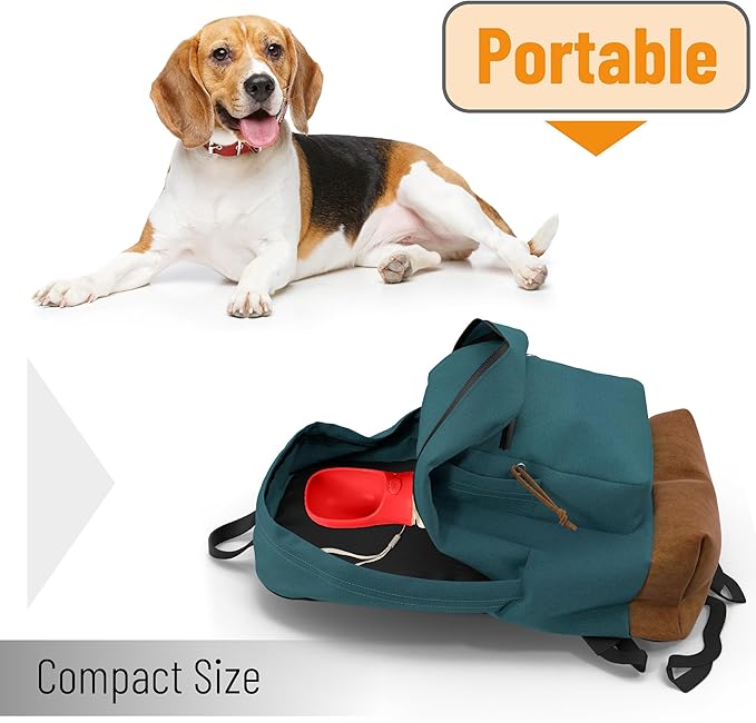 Mr. Pen- Dog Water Bottle, 19 oz, Large, Red, Portable Dog Water Bottle Dispenser, Not Dishwasher Safe