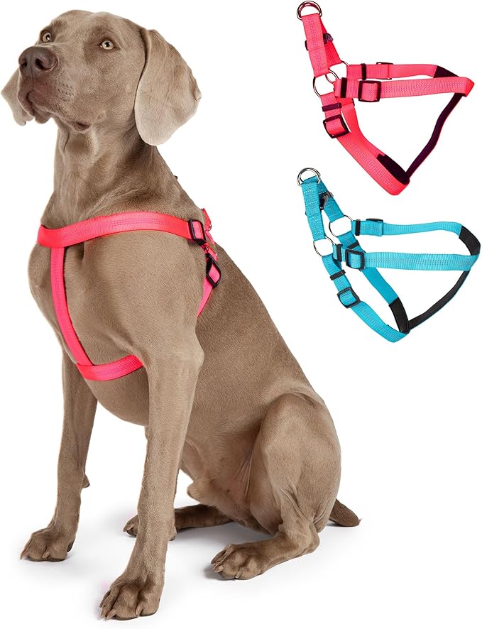 BLAZIN No Pull Dog Harness - Adjustable Step-in Reflective Nylon Vest Harness - Neoprene Padded for Extra Comfort (Small, Pink)
