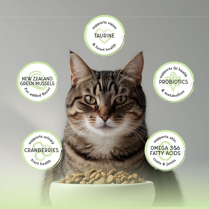 Blackwood Bounty Dry Cat Food, Whitefish & Lentil Recipe for All Life Stages, 10 Pound Bag, High Protein, Grain Free