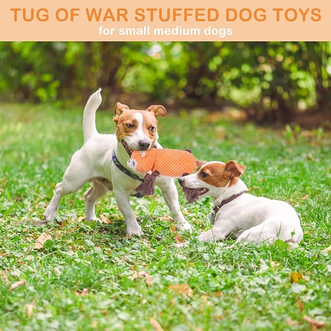 SCENEREAL Tug of War Stuffed Dog Toys for Small Medium Large Dogs,Durable Squeaky Interactive Dog Chew Toys, Keep Them Busy Dog Chew Guard Technology with Rope for Training Indoor(Squirrel, Orange)