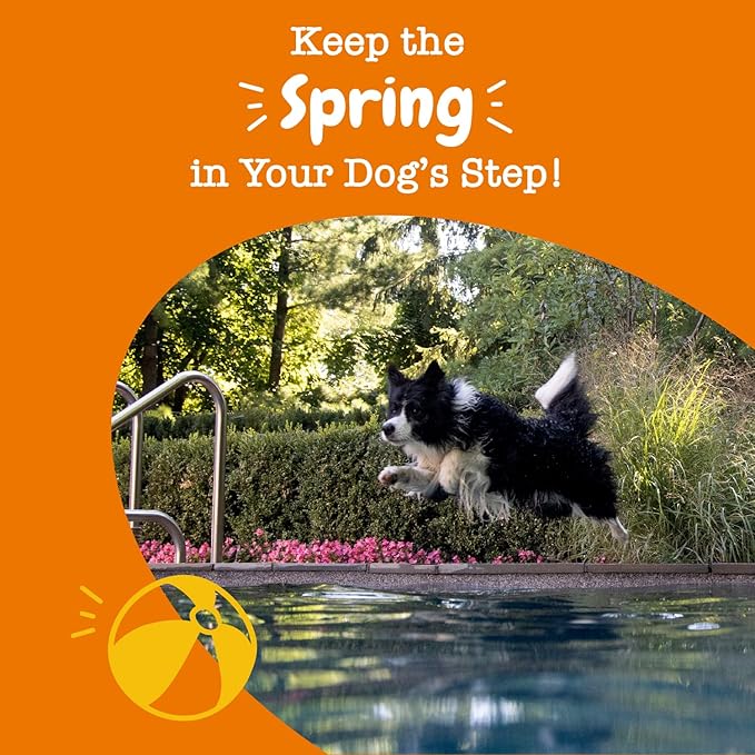 Zesty Paws Hip and Joint for Dogs, Glucosamine for Dogs Hip and Joint Supplement with Chondroitin, MSM, Vitamins C & E - Bacon, 90 Count