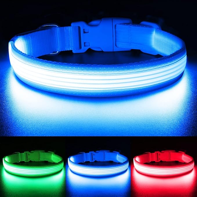 YFbrite Light up Dog Collar, USB Rechargeable LED Puppy Collar Super Bright Adjustable Glowing Dog Lights for Night Walking (Design-2- Blue, Large)