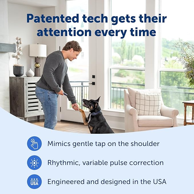 PetSafe Basic Dog Trainer with Remote – Waterproof Training Collar – 300 ft Range – Tone, Vibration and Eight Levels of Static