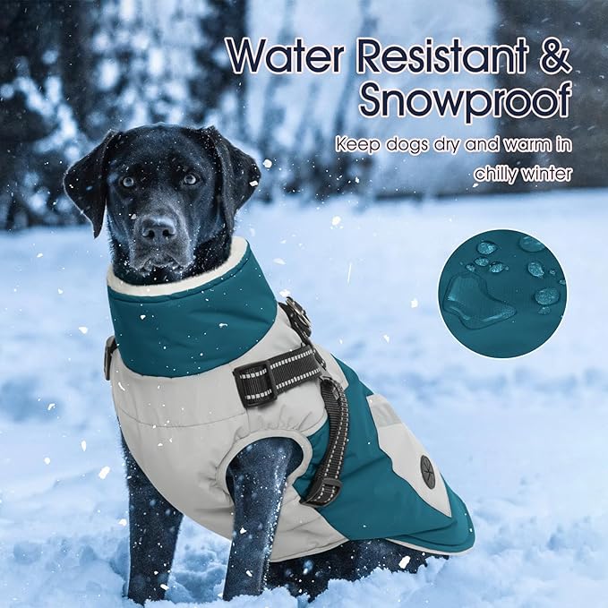 IECOii Dog Winter Coat Waterproof - Dog Coat with Harness Built in for Medium Dogs,Thermal Warm Fleece Lined with Zip Up Cold Weather Jacket,Reflective Snowsuit for Outdoor, Turquoise Green,M