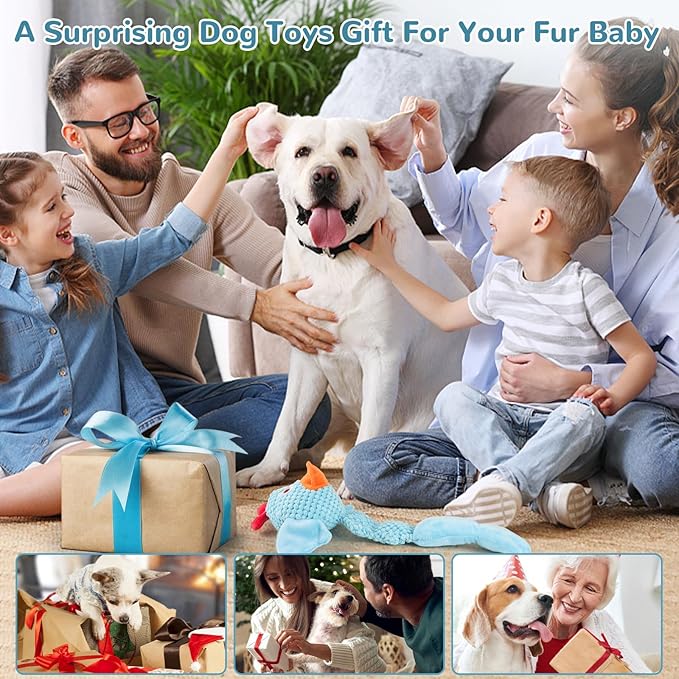 Squeaky Dog Toys for Medium and Small Dogs-Interactive Tug of War Toy for Puppy Teething,Great Plush Dog Toy for Dogs to Keep Them Busy