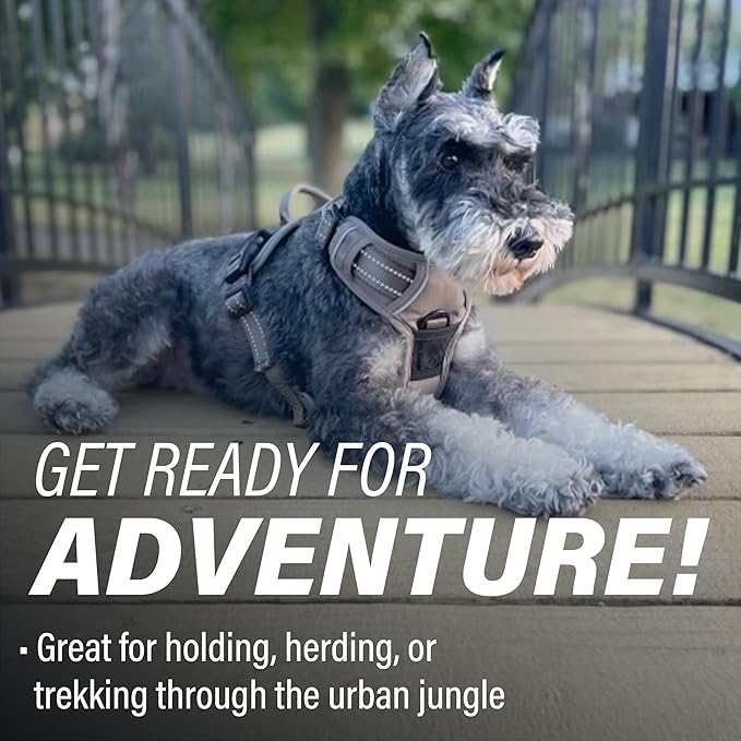 Doggie Design Venture Paw No Pull Dog Harness - Simple Adjustable Puppy Harness - Anti Pull Dog Collar for Walks and Outdoor Adventures - Dried Sage, M