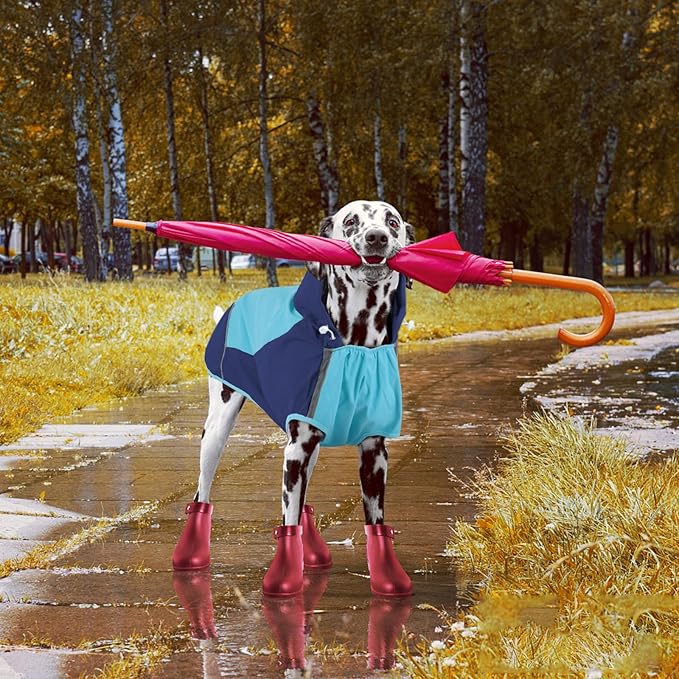 IECOii Dog Raincoat,Waterproof Rain Coat for Small Dogs,Adjustable Pet Rain Jacket with Hood,Lightweight Doggy Raincoats with Reflective Stripes,Blue,Small