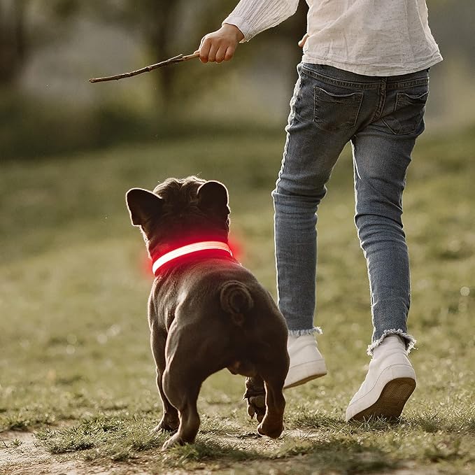 Light up Dog Collars- USB Rechargeable LED Dog Collar, Full Illuminated and Adjustable Dog Collar Light, Three Colors and Three Sizes for Small, Medium, Large Dogs (Medium, Pink-2)