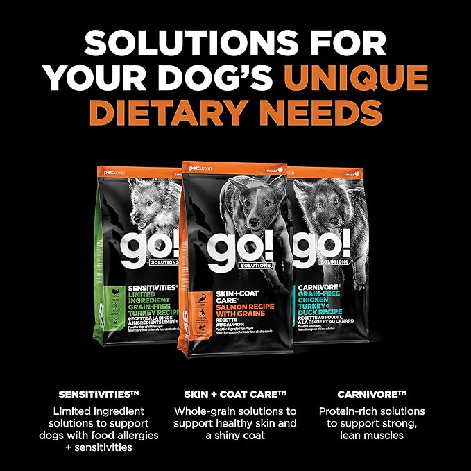 Go! Solutions Skin + Coat Care, Dry Dog Food, Salmon Recipe with Grains, 22 lb Bag