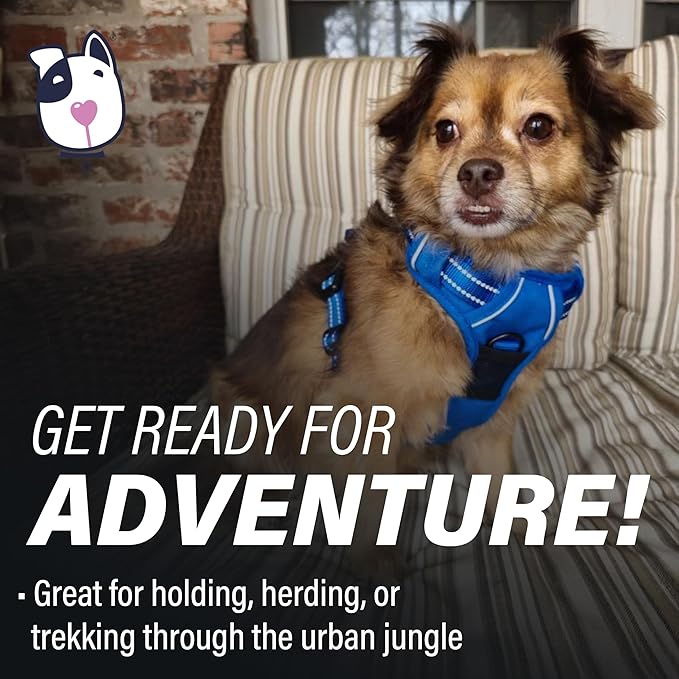 Doggie Design Venture Paw No Pull Dog Harness - Simple Adjustable Puppy Harness - Anti Pull Dog Collar for Walks and Outdoor Adventures - Mountain Lake, S