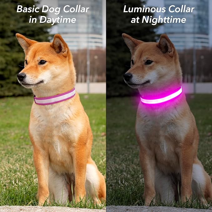 Visinite LED Dog Collar USB Rechargeable, Reflective Light Up Pet Collar for Night Walking, Adjustable Glow Collar for Small Medium Large Dogs (Pink, L)