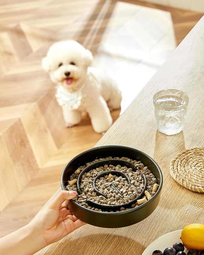 Ceramic Slow Feeder Dog Bowls, 2.0 Cups Slow Feeder for Medium and Large Dogs, Puzzle Maze Bowl to Slow Down Eating, 30oz, 8in, Black