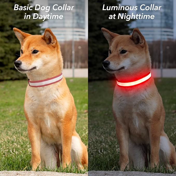 Visinite LED Dog Collar USB Rechargeable, Reflective Light Up Pet Collar for Night Walking, Adjustable Glow Collar for Small Medium Large Dogs(Red, M)