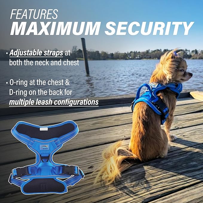 Doggie Design Venture Paw No Pull Dog Harness - Simple Adjustable Puppy Harness - Anti Pull Dog Collar for Walks and Outdoor Adventures - Mountain Lake, XS
