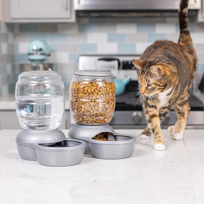 Petmate Replendish Automatic Gravity Waterer for Cats and Dogs, BPA-Free, No Batteries Required, Includes Charcoal Filter, 0.5 Gallon,Silver