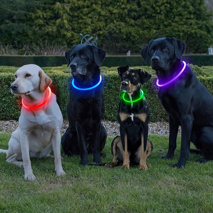 HIGO Light Up Dog Collar, LED Dog Collar for Night Safety with 3 Modes, Type-C Rechargeable & Adjustable TPU Material for Small Medium Large Dogs (Purple)