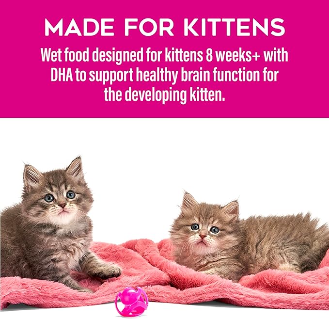 Tiki Cat Baby Favorites Whole Foods Wet Cat Food for Kittens Mega Pack, 2.4 oz. Can (24 Count)