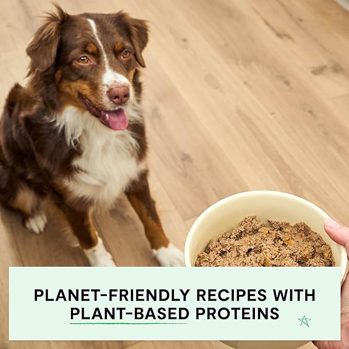 Open Farm Canned Dog Food, Plant Based Paté for Complete & Balanced Nutrition, Non-GMO Ancient Grains, Lentils and Vegetables, Plant Based Recipe, 12.5oz Cans (Pack of 12)