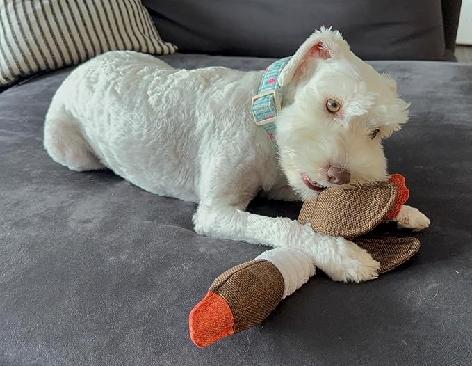 Dog Toy Bundle – 2 Durable Plush Squeaky Goose Toys + 1 Carrot Rope Chew Toy – Interactive Play Set for Small & Medium Dogs