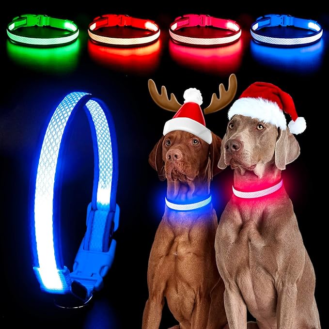 YFbrite Light up Dog Collar, USB Rechargeable LED Puppy Collar Super Bright Adjustable Glowing Dog Lights for Night Walking (Blue, Large)