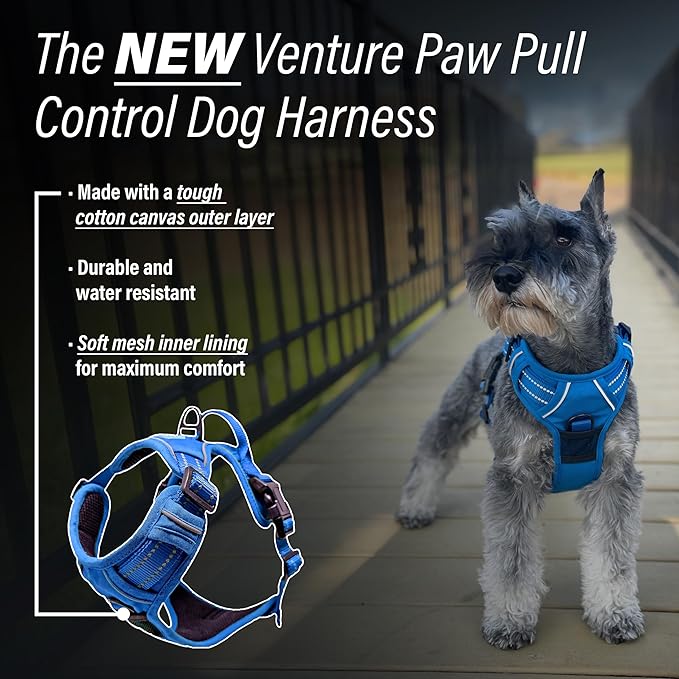 Doggie Design Venture Paw No Pull Dog Harness - Simple Adjustable Puppy Harness - Anti Pull Dog Collar for Walks and Outdoor Adventures - Mountain Lake, M