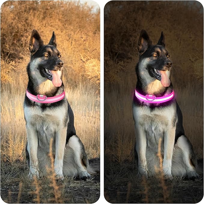 LED Light Up Dog Collar Rechargeable Waterproof, Glow in Dark Dog Collar, Lighted Dog Collars for Night Walking Charging USB, Safety for Small Medium Large Dogs (S, Pink)