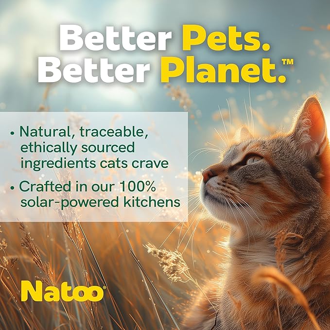 NATOO Cat Food Topper for Picky Eaters, Healthy Soft KittyTreat (Chicken, Sweet Potato & Broccoli) Wet Cat Meal with Gravy, High Protein, Limited Ingredient Adult & Kitten Food, 2.4 oz (Case of 20)