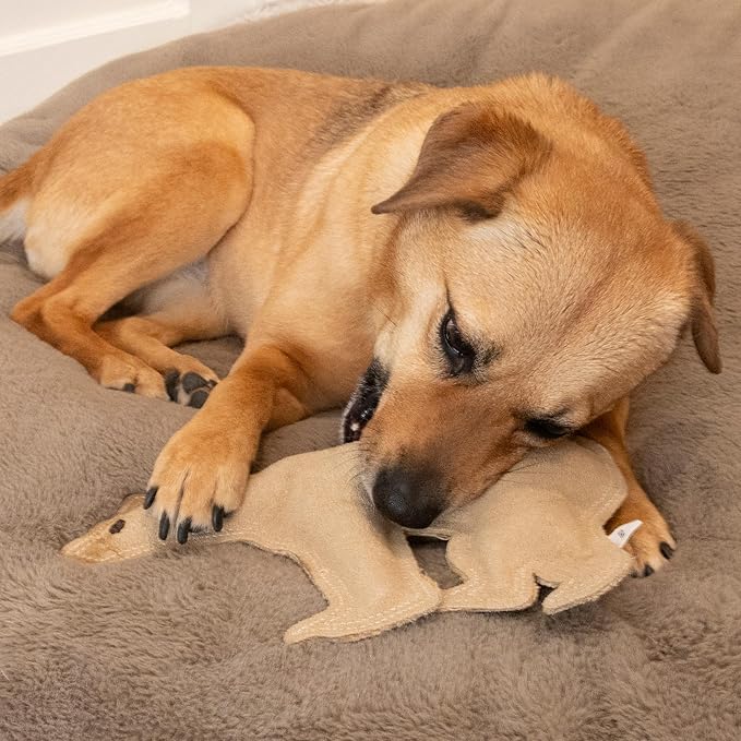 SPOT Dura-Fused Leather Bear Dog Toy – Durable Real Leather & Jute Chew Toy with Squeaker, Double-Stitched for Moderate Chewers, Medium & Large Dogs, 11.5in