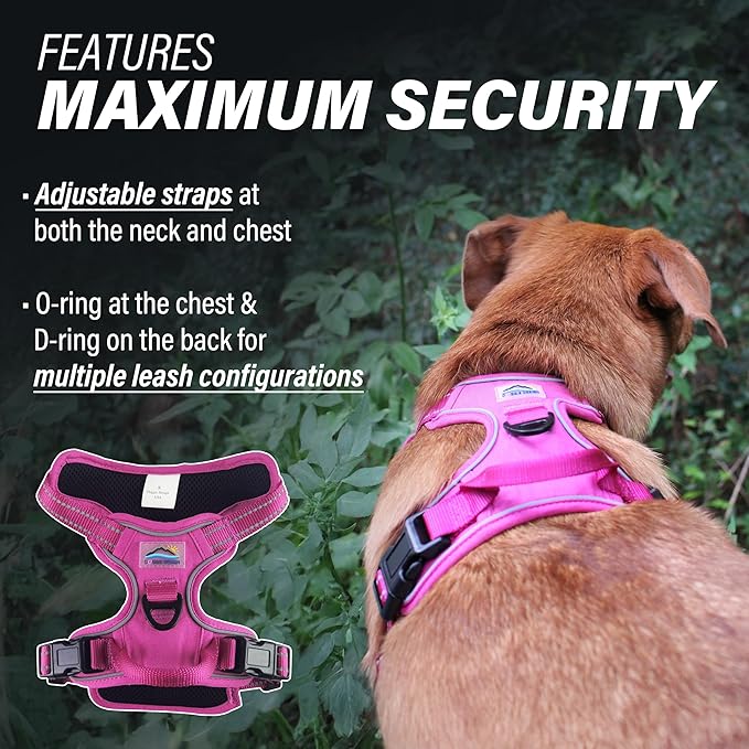 Doggie Design Venture Paw No Pull Dog Harness - Simple Adjustable Puppy Harness - Anti Pull Dog Collar for Walks and Outdoor Adventures - Wild Raspberry, L