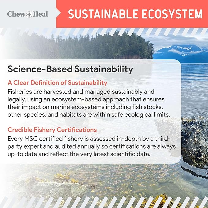 Pure Wild Alaskan Salmon Oil for Dogs - 8 oz. Pump Cap - Toxin Free Dog Fish Oil Rich in Omega-3 and 6, Vitamin D, EPA, and DHA for Healthy Skin and Coat - Pink, COHO, and Sockeye Salmon