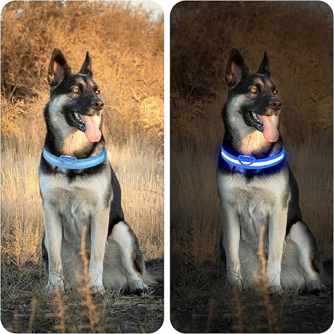 LED Light Up Dog Collar Rechargeable Waterproof, Glow in Dark Dog Collar, Lighted Dog Collars for Night Walking Charging USB, Safety for Small Medium Large Dogs (XL, Blue)