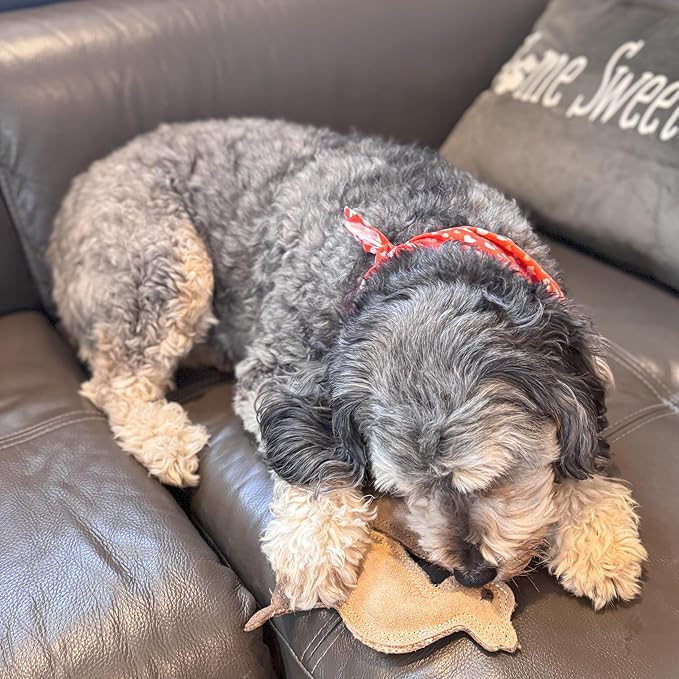 SPOT Dura-Fused Leather Fox Dog Toy – Real Leather & Jute Fabric, Double-Stitched & Durable, Squeaky Interactive Chew Toy for Moderate Chewers, Small & Medium Dogs, Soft Stuffed Fetch Toy, 7.5in