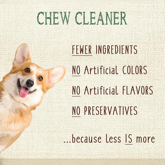Nylabone Nutri Dent Dog Dental Treats - Natural Dog Teeth Cleaning & Breath Freshener - Dental Treats for Dogs - Fresh Breath Flavor, Large (20 Count)