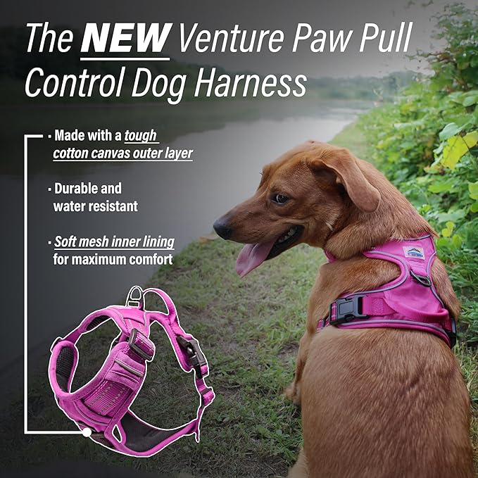 Doggie Design Venture Paw No Pull Dog Harness - Simple Adjustable Puppy Harness - Anti Pull Dog Collar for Walks and Outdoor Adventures - Wild Raspberry, L