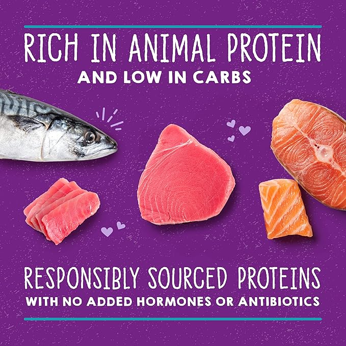 Stella & Chewy's Carnivore Cravings Purrfect Paté - Premium Grain-Free Wet Cat Food - Salmon, Tuna & Mackerel Recipe - High Protein with Bone Broth - Perfect for Picky Eaters - 5.2oz Cans (24 Pack)