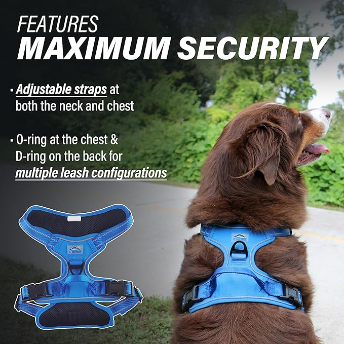 Doggie Design Venture Paw No Pull Dog Harness - Simple Adjustable Puppy Harness - Anti Pull Dog Collar for Walks and Outdoor Adventures - Mountain Lake, XL