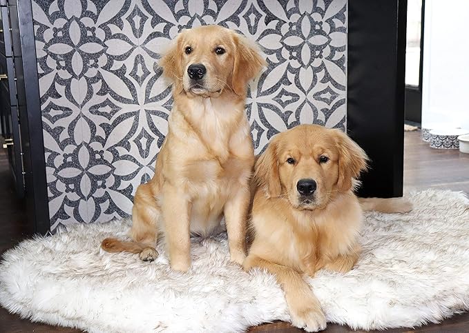 PupRug Orthopedic Dog Bed for Large Dogs with Fluffy Soft Faux Fur and Memory Foam for Joint Pain Relief, Machine Washable and Waterproof Couch Bed, White, Extra Large