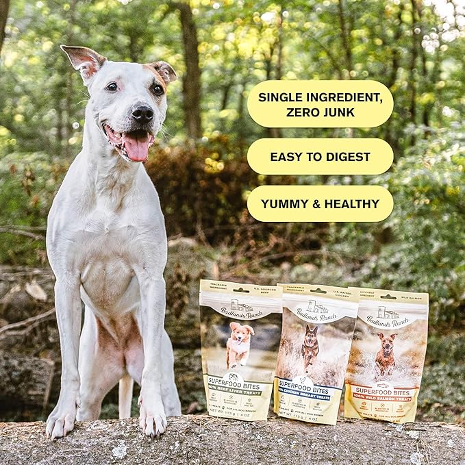 Superfood Bite, Freeze-Dried Raw Dog Treats - Protein Rich, Train & Reward, Traceable Single Ingredient by Katherine Heigl (Beef Liver)