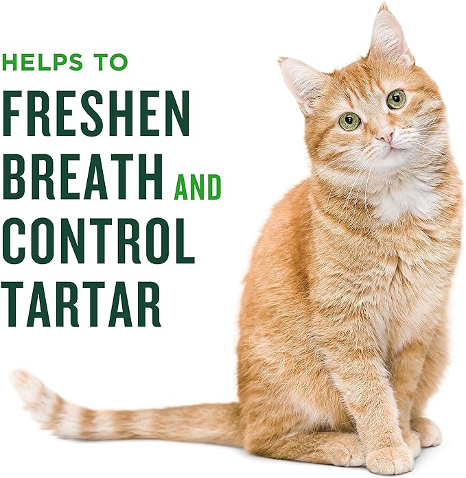 Minties Dental Treats for Cats, Chicken Flavored Treats for Cats, Freshens Breath and Controls Tartar, 10oz (Pack of 2)