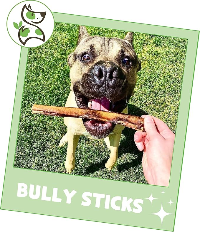 Nature Gnaws Bully Sticks for Dogs 5-6" (1Lb) - Mixed Thickness - Long Lasting for Aggressive Chewers and Large Dogs - Natural Beef Dog Chew Bones