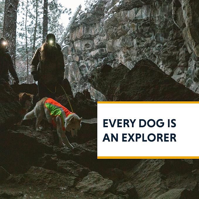 Ruffwear, Lumenglow High-Vis Dog Jacket, High-Visibility Protection for Day and Night, Blaze Orange, XX-Small