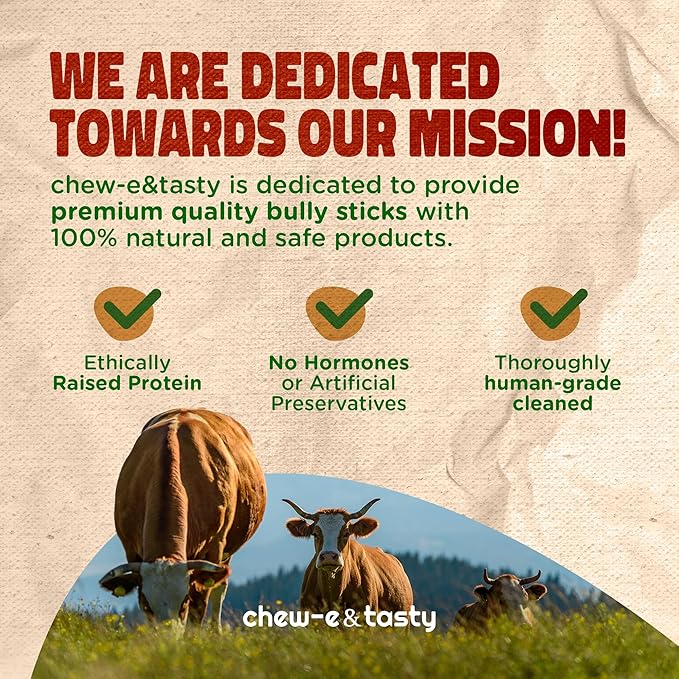 chew-e&tasty Braided 4-5" Bully Sticks Odor Free Long Lasting 100% Beef Chews- Made & Packaged at Food-Grade Facility - High Protein Low Fat Dental Treats