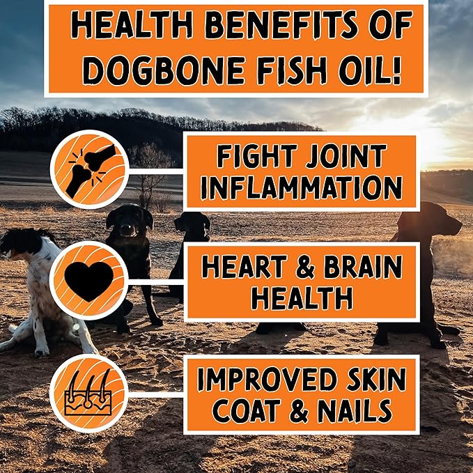 DogBone Fish Oil for Dogs 32 oz | Salmon Oil | Dog Fish Oil | Omega 3 | Dog Joint Supplement | Pet Vitamins and Supplements | Wild Alaskan Salmon Oil for Skin and Coat