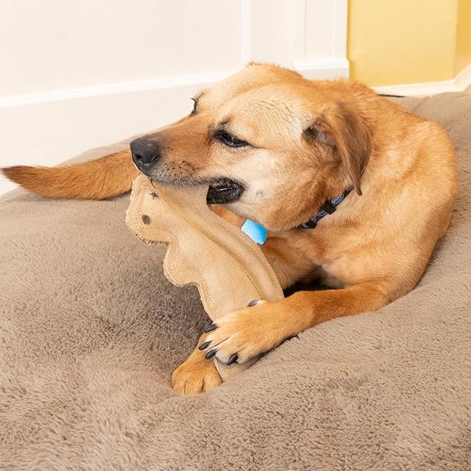 SPOT Dura-Fused Leather Squirrel Dog Toy – Real Leather & Jute Fabric, Double-Stitched & Durable, Soft Stuffed Squeaky Interactive Chew Toy for Moderate Chewers, Small & Medium Dogs, 8in