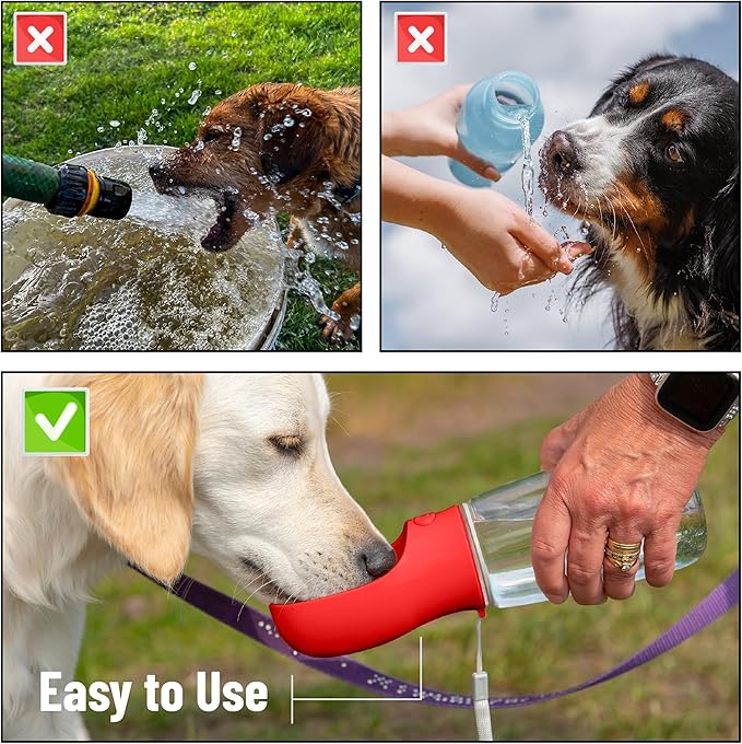 Mr. Pen- Dog Water Bottle, 19 oz, Large, Red, Portable Dog Water Bottle Dispenser, Not Dishwasher Safe