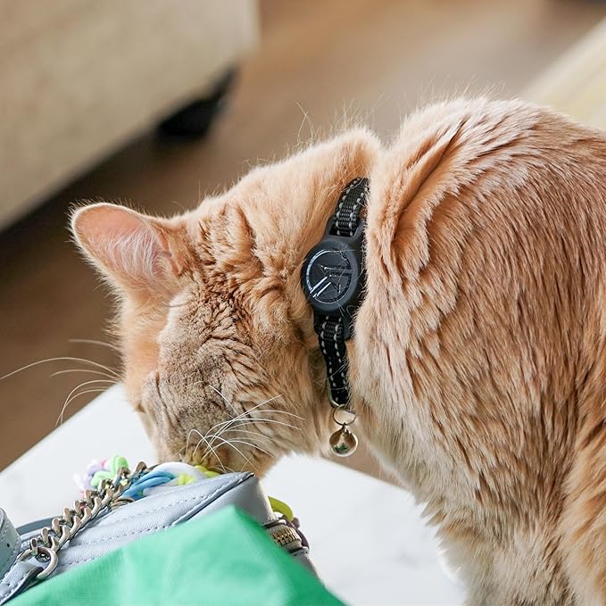 Tile Sticker Cat Collar Holder (2024): The Smallest, Lightest, and Most Comfortable Tracking Case for Cats - Track Your Pet with iPhone Samsung Android Device - Life360 for Boy Girl Kittens (Pink)