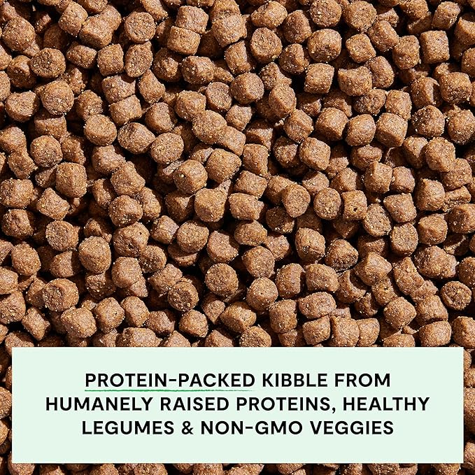 Open Farm, Grain-Free Dry Dog Food, Complete & Balanced Kibble, Sustainably & Ethically Sourced Ingredients, Non-GMO Veggies & Superfoods to Support Overall Health, Grass-Fed Beef Recipe, 22lb Bag