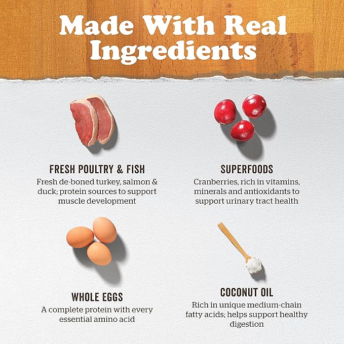 Now Fresh Grain-Free, Dry Cat Food, Turkey, Salmon and Duck Kibble, Real Meat and Fish Senior Recipe, 3 lb Bag